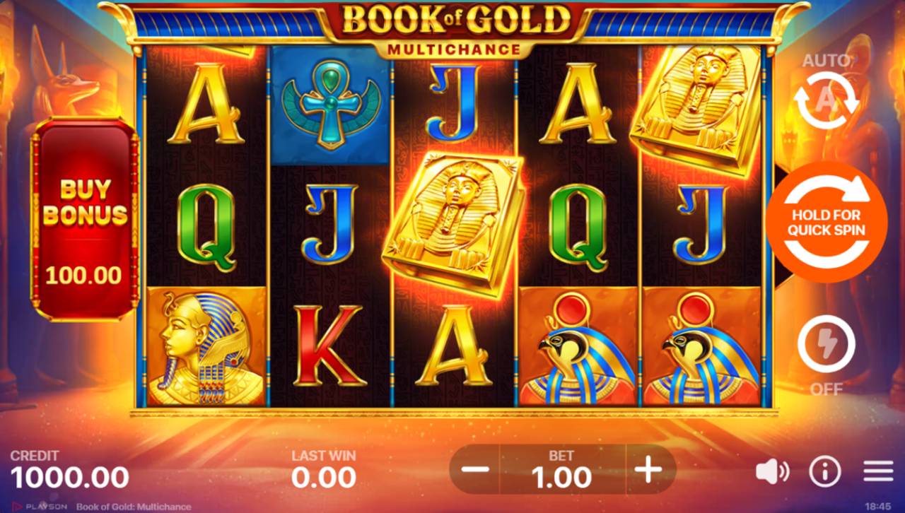 Book Of Gold: Multichance (Playson) Image 2